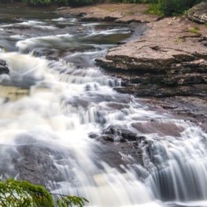Meet your Posher, Jenny